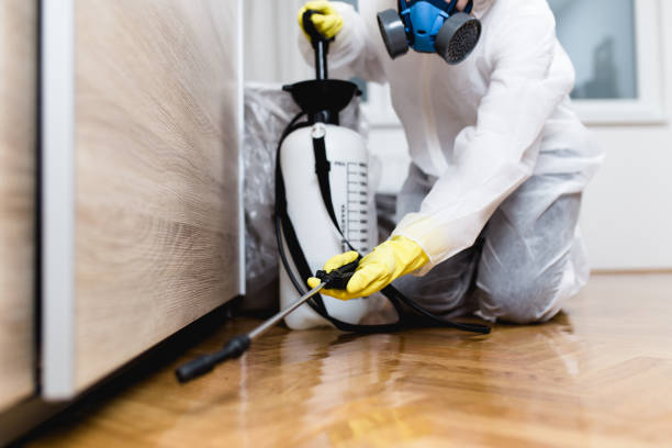 Wildlife Control Services in Maricopa, CA