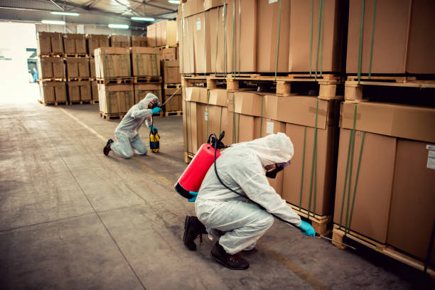 Best Pest Control Near Me  in Maricopa, CA