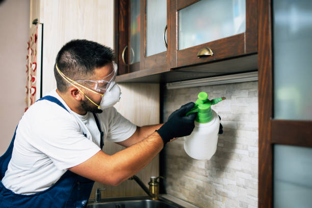 Reliable Maricopa, CA Pest Control Solutions