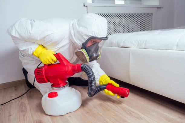 Best Best Pest Control Companies  in Maricopa, CA