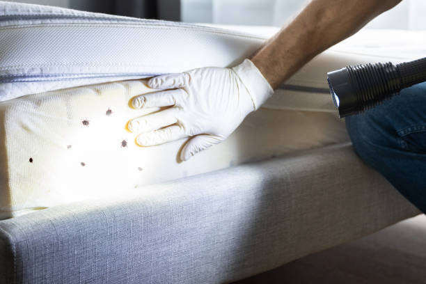 Best Commercial Pest Control Services  in Maricopa, CA