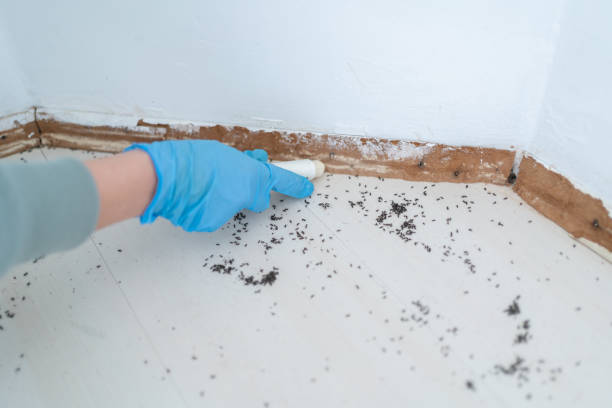 Best Pest Removal Services  in Maricopa, CA