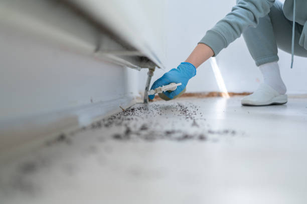 Best Pest Inspection Near Me  in Maricopa, CA