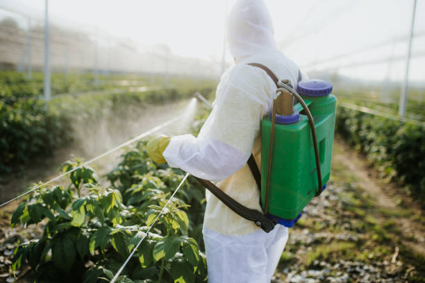 Best Pest Control Near Me  in Maricopa, CA